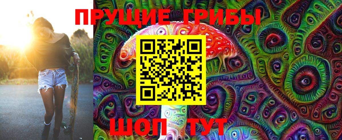 Псилоцибиновые грибы мицелий Мценск